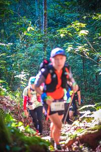 BIB: 
                            <button type="button" onclick="openModal(19329849)" class="btn btn-primary btn-sm float-right btn-popup" data-toggle="modal" data-target=".modal-high-quality">
                        <i class="fas fa-shopping-cart"></i> Add to Cart
                    </button>
                                            <button type="button" onclick="isThisMe(19329849, true)" class="btn btn-success btn-sm float-right btn-popup btn-isme hidden" data-toggle="tooltip" data-placement="bottom" title="นี่คือรูปของคุณใช่ไหม คลิกที่นี่เพื่อเอาเข้าอัลบั้ม">
                        <i class="fas fa-plus"></i> Add to album
                    </button>
                    <button type="button" onclick="isThisMe(19329849, false)" class="btn btn-warning btn-sm float-right btn-popup btn-isnotme hidden">
                        <i class="fas fa-ban"></i> Remove from album
                    </button>